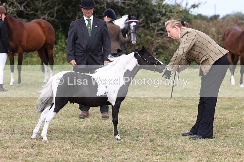 3E7A4217 - Class 15: Two Year Olds