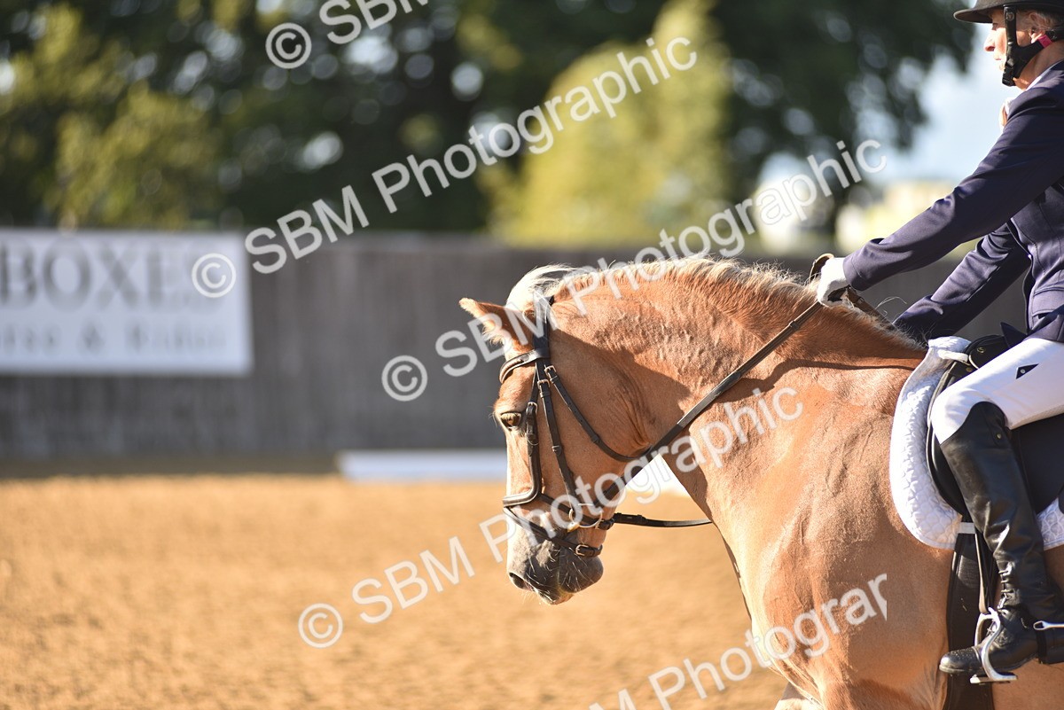 SBM_11407 - D28 - Elementary