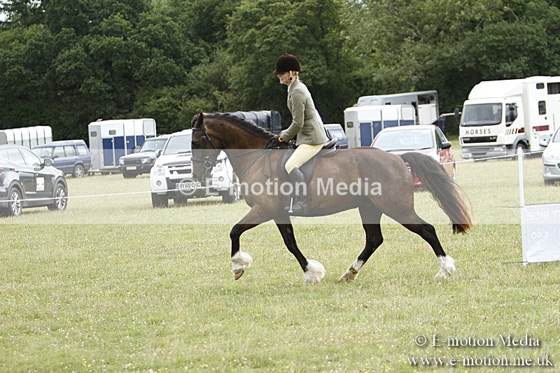 BVR160717-401 - Ring 3 BVRC Show 16/07/17