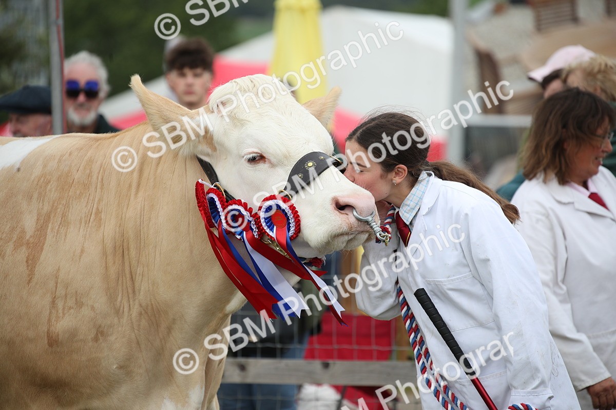 SBM_07858 - Grand Parade