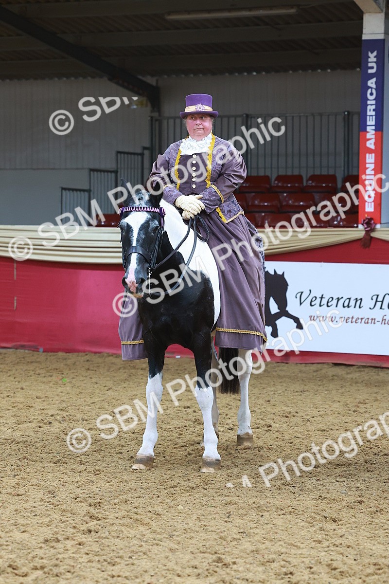 SBM_14841 - Class 108 - Ridden Costume - Astride Adult (20+)
