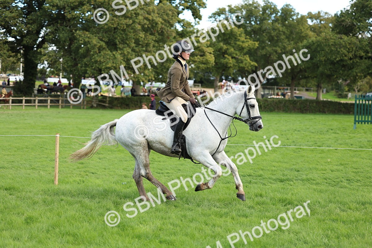 SBM_45536 - S33 - Working Hunter Pony