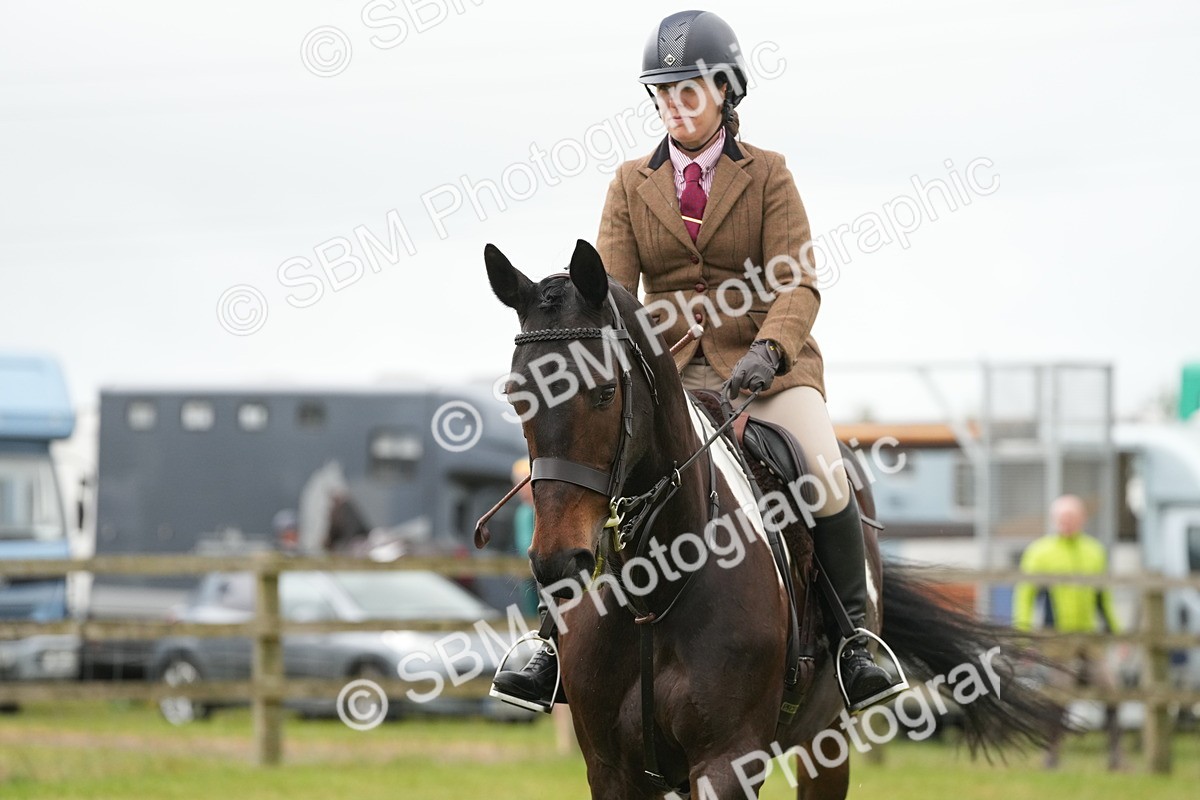 SBM_12550 - Class 97-98 - LIHS BSHA Rising Star Working Show Horse Hunter