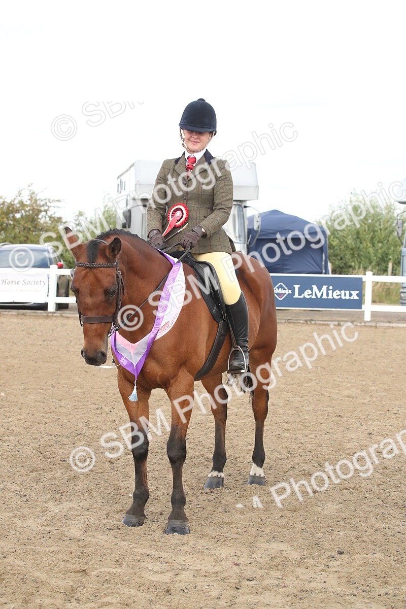 SBM_15246 - Class 506a - Working Veteran - 50cm (15-19)