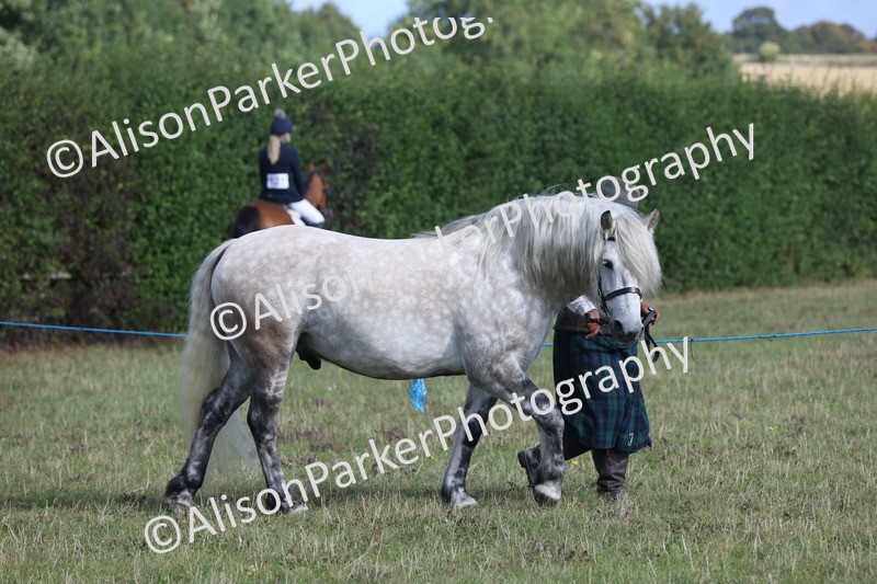 20250831-1321 - Class 21 - Inhand Open