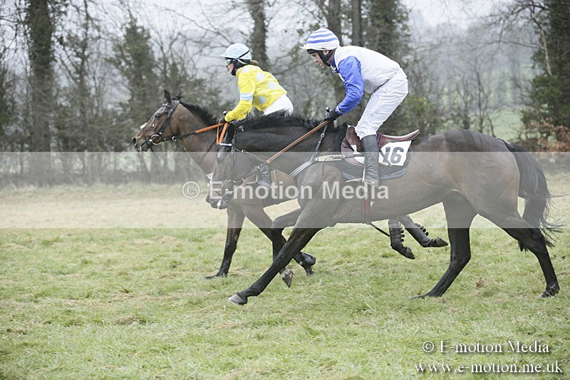 PtP 020418 -316 - Old Berks Point-to-Point Races Easter Monday 02/04/18