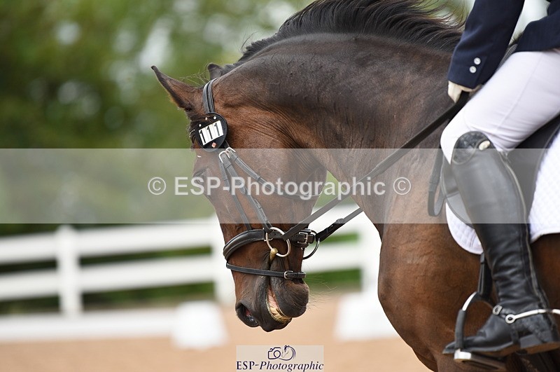 230912A-124122-00883 - Cls 8 Elementary 59