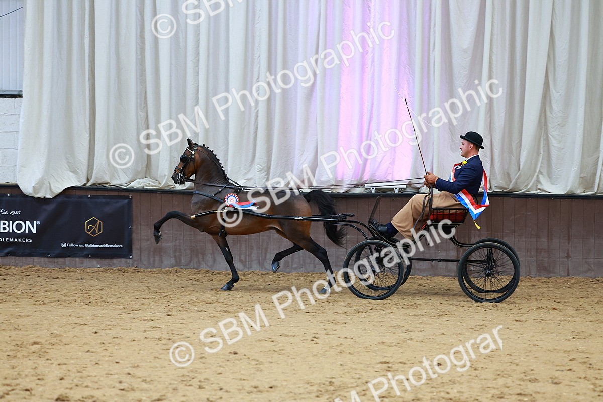SBM_000678 - Class 9 - HHS Championship Intl Hackney Pony to a Showwagon