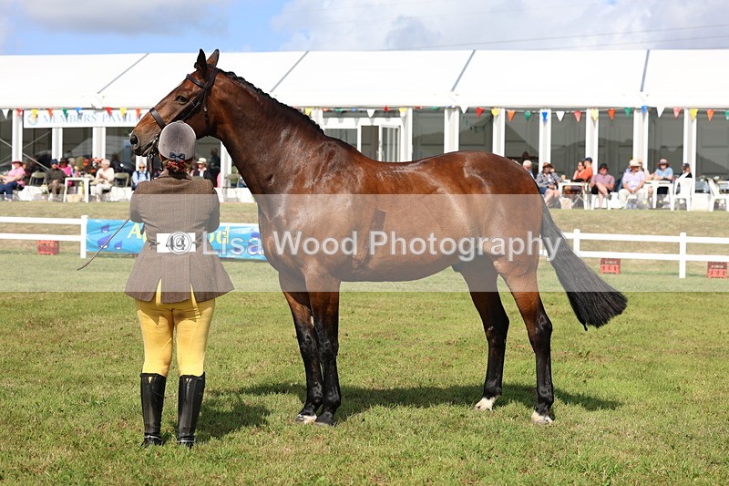 3E7A9534 - Class 4: Rising Star M/H Hunter