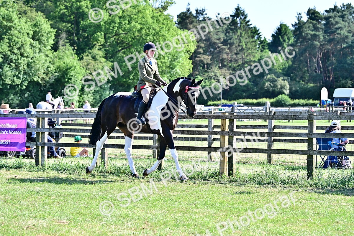SBM_19511 - Class 101-102 - BSPS LIHS Performance Coloured Horse/Pony