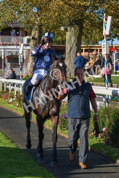 141023-Race 5-Certain Lad-1390 - Race 5 3.35pm Coral Racing Bet Bundles Handicap