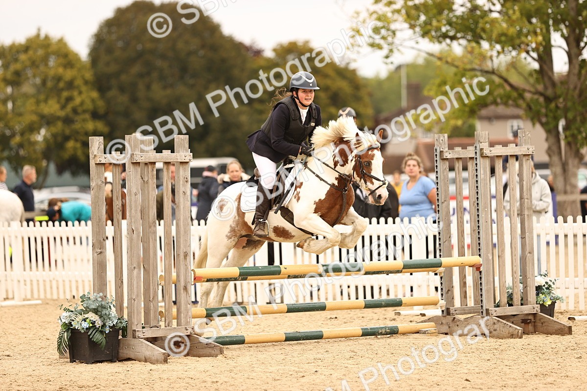 SBM_72626 - J14 - Junior Pony 65cm Championship