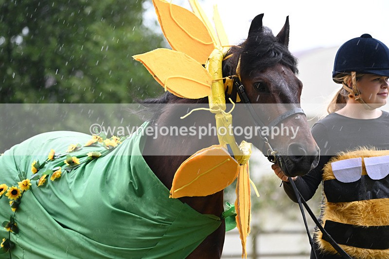 WJ6_9179 - Class 11 Fancy Dress