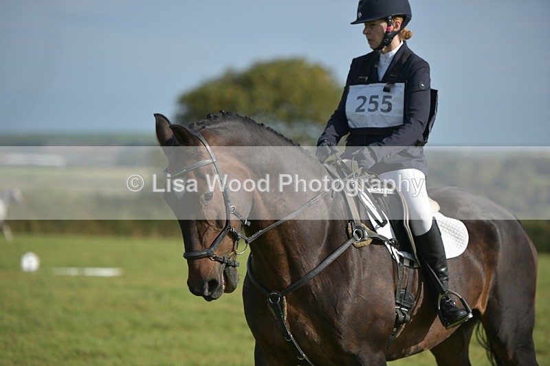 RAY_7511 - Class 2B: Trekenning Open: Dressage