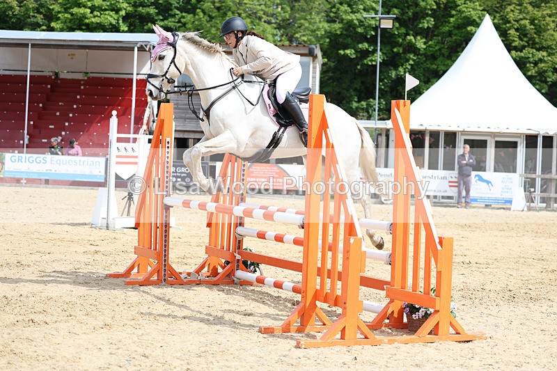 3E7A8810 - Class 4: Senior British Novice/90cm open