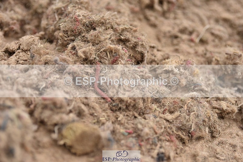 240623A-113226-17196 - Cls 47 BD Novice 22