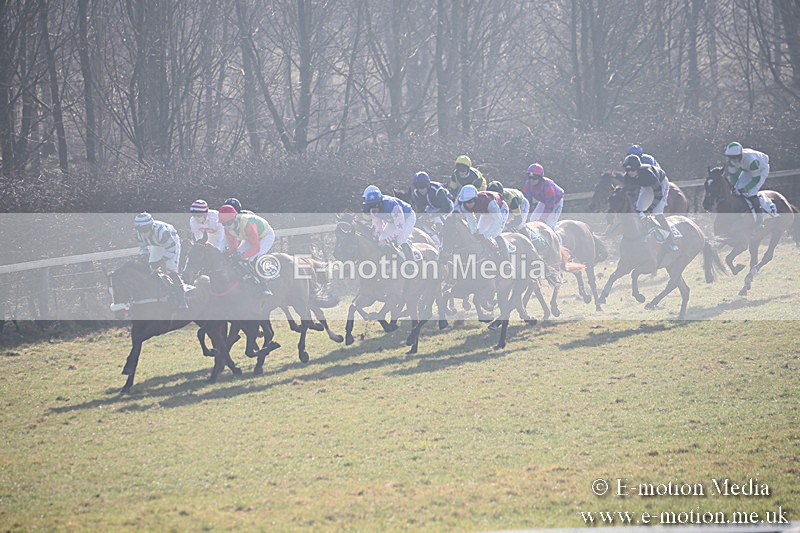 PtP 230219 41 - Vine & Craven Point-To-Point - Barbury 23/02/19