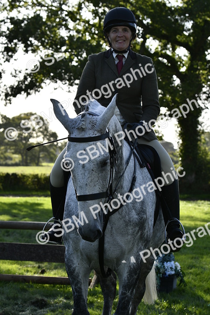 SBM_52248 - S35 - Working Hunter & Working Show Horse