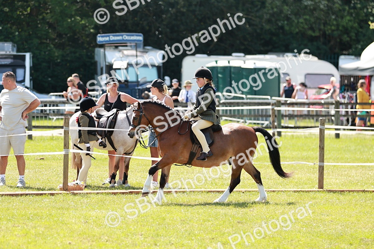 SBM_13567 - Class 108-109 - BSPS LIHS Open Gradle & Nursery Stakes