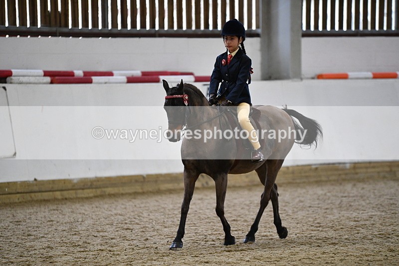 WJ5_6934 - Class 10 Childs Pony