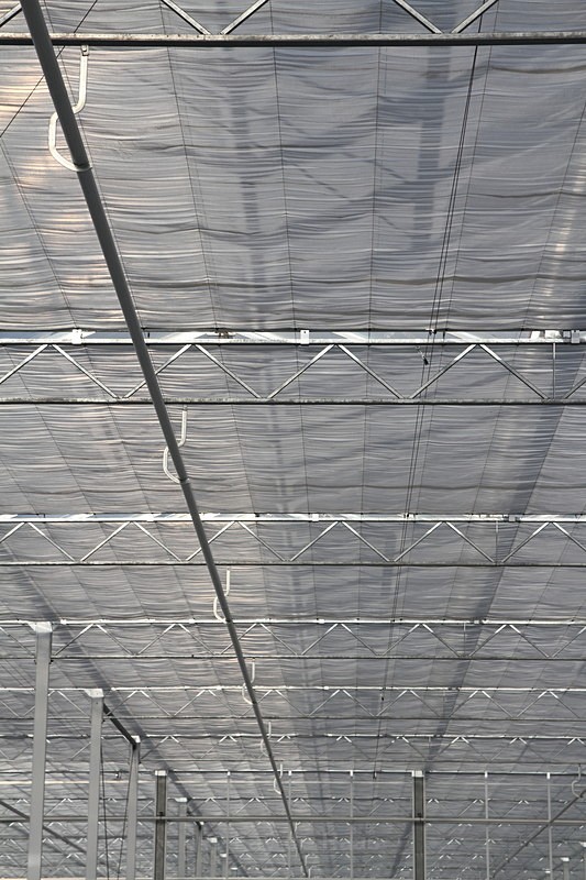 IMG_4540 - Manmade lines