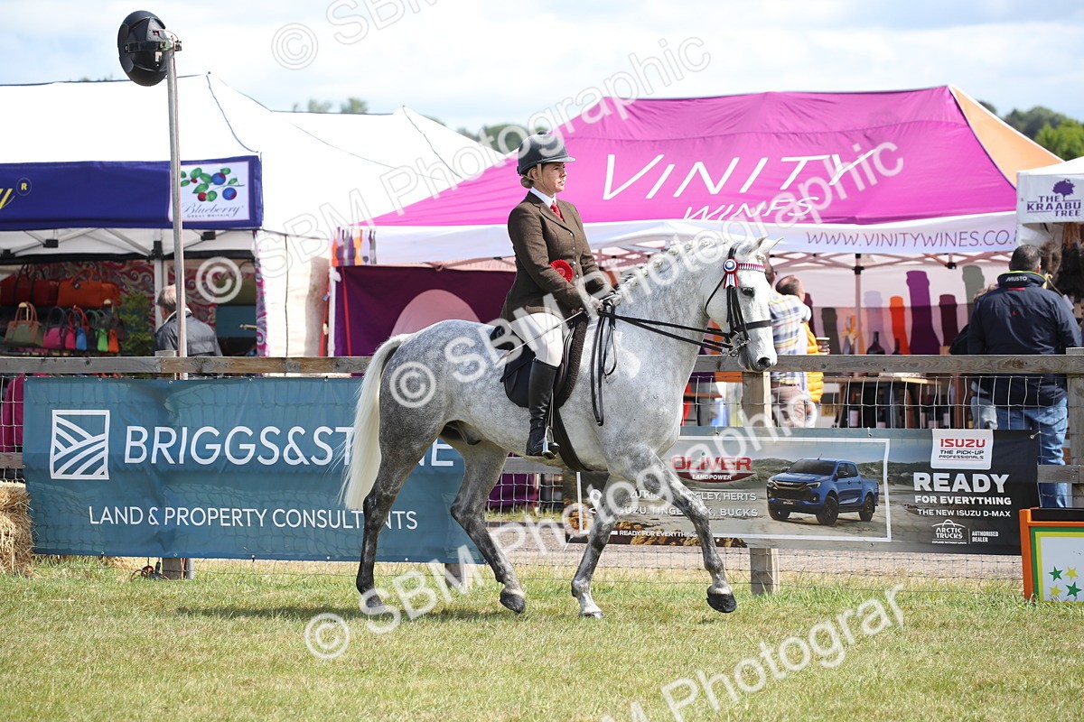 SBM_13305 - Class 95-96 - LIHS BSHA Rising Star Hack Riding Horse