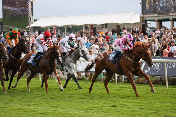 yr23072021r2-21 - Race 2 6.30pm IRE-Incentive It Pays To Buy Irish Stakes