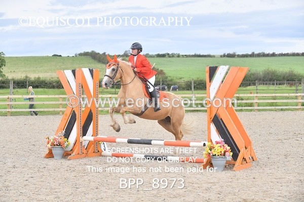 BPP_8973 - CLASS 4 50CM