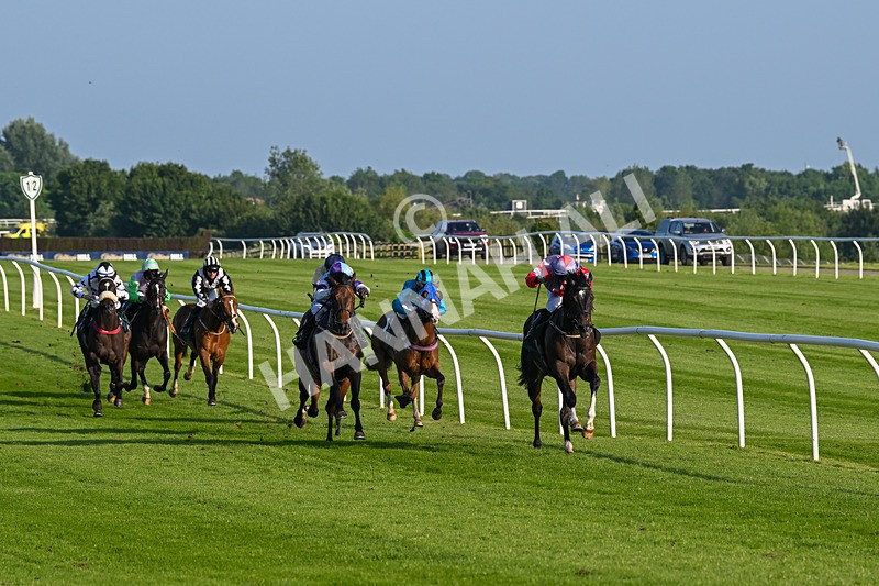 310524-Race 2-Dandy Fitz-8463 - Race 2