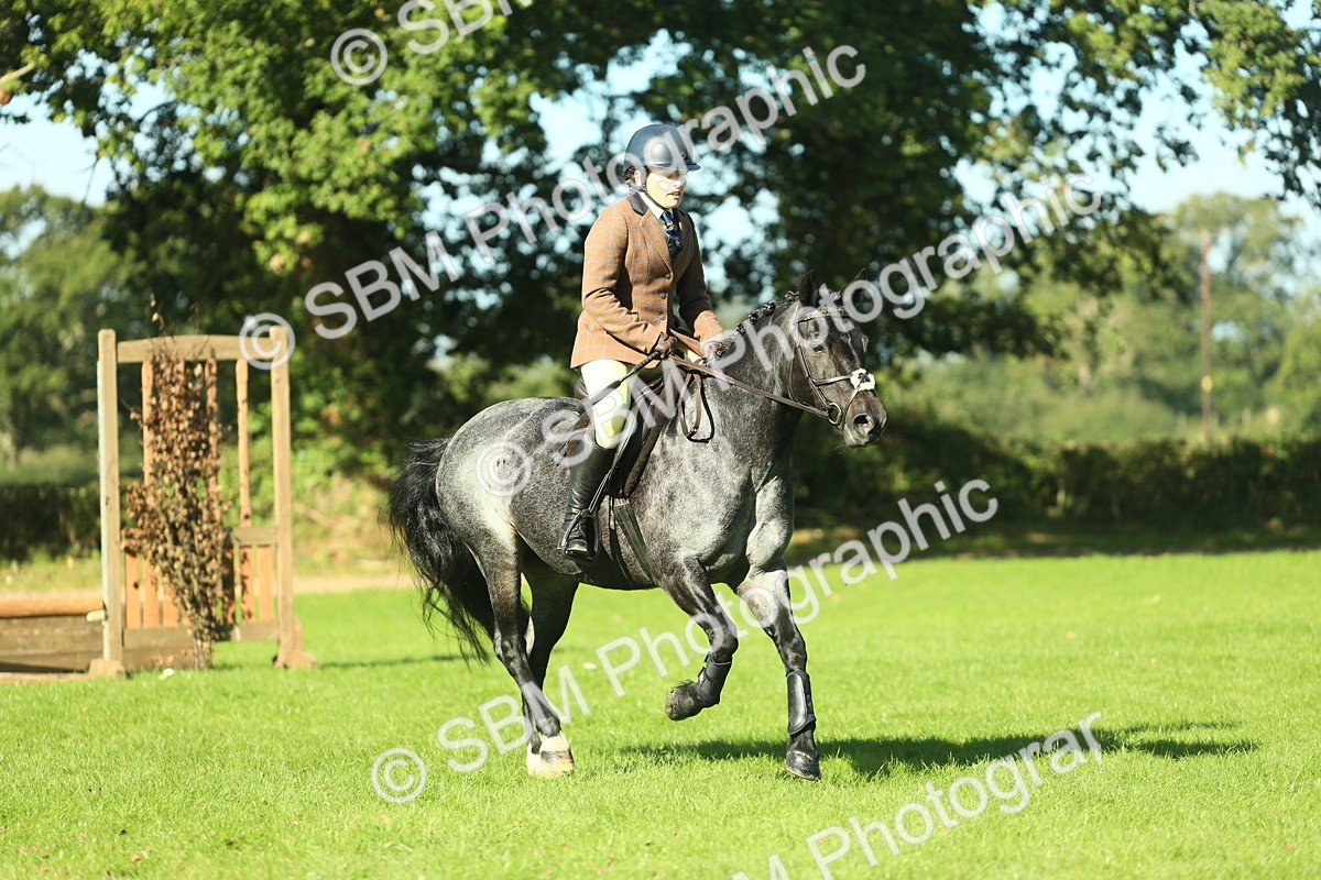 SBM_36464 - S29 - Novice & Newcomers Working Hunter Pony