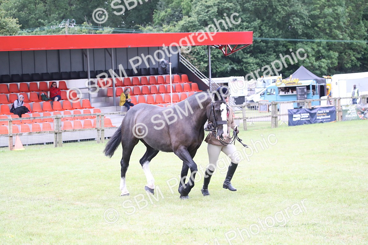 SBM_11263 - Class 92-93 - LIHS BSHA Rising Star Cobs