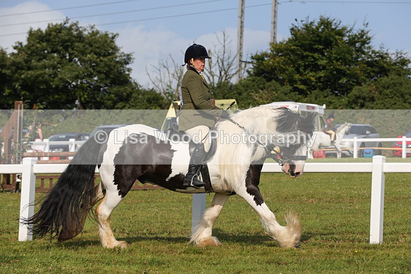 1X9A3271 - Class 28: Ridden Native/Trad Coloured Pony