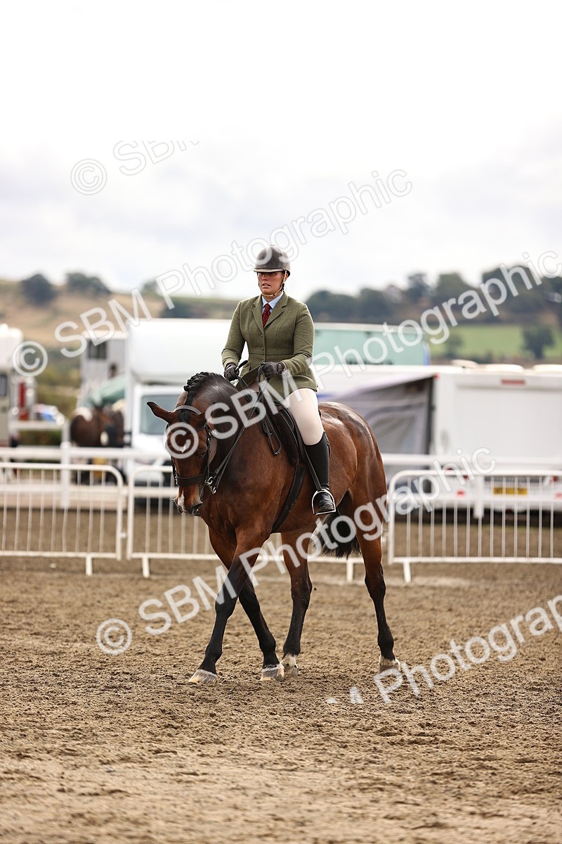 SBM_00299