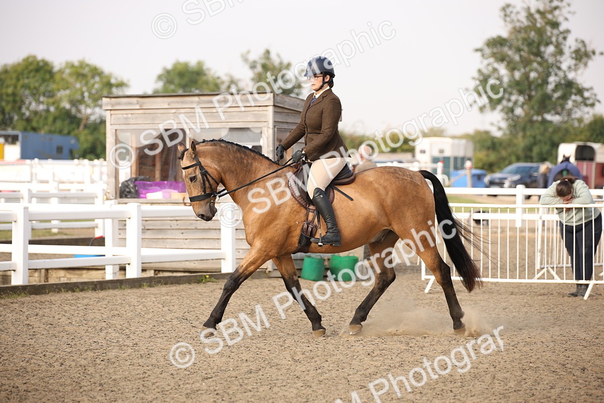 SBM_10247 - Class 402 Riding Club Horse