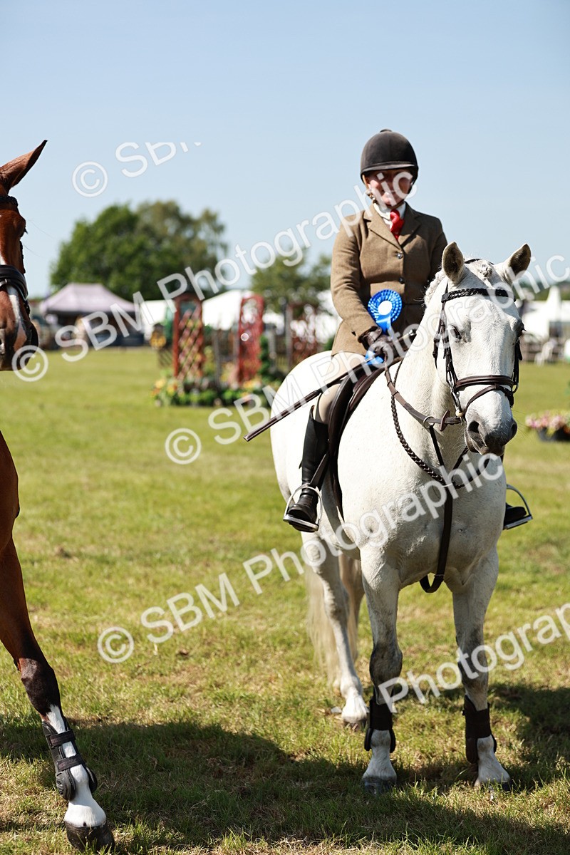 SBM_18467 - Class 112-113 - BSPS LIHS Working Sports Pony