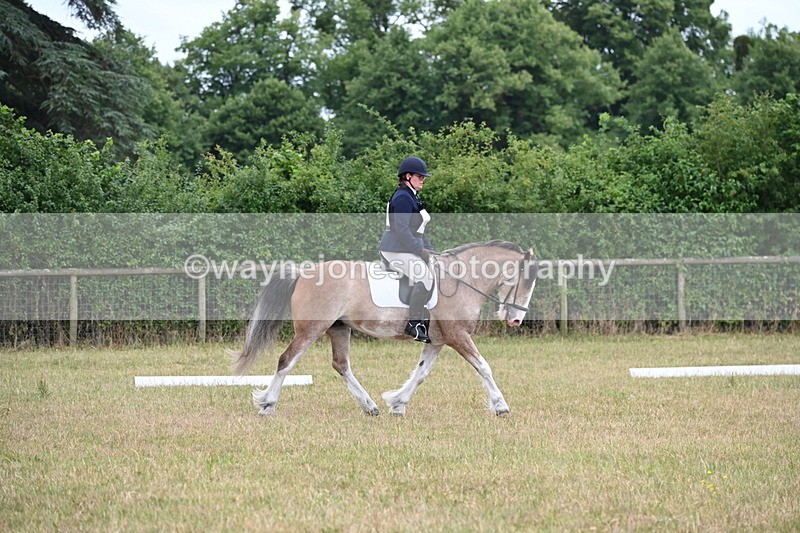 WJ6_3043 - Time 11:07 to 11:34