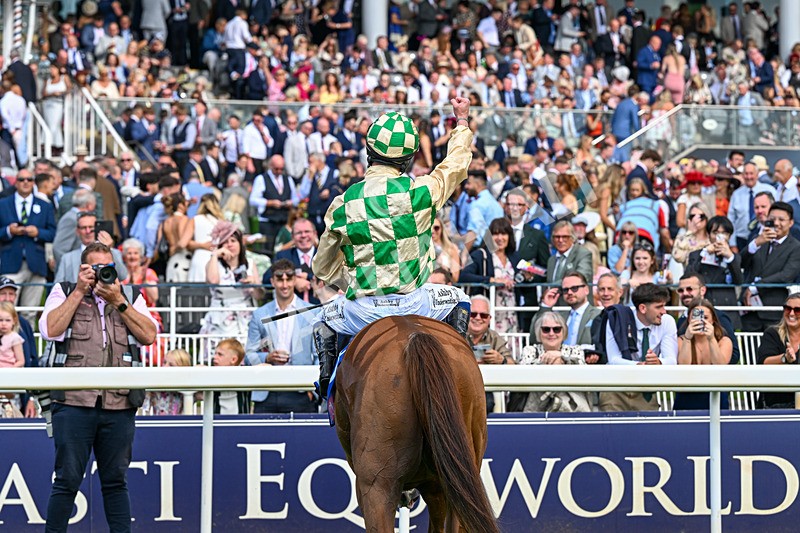 220826-Race 4-Daiquiri Bay-0684 - Race 4 15.35pm Sky Bet Ebor Handicap