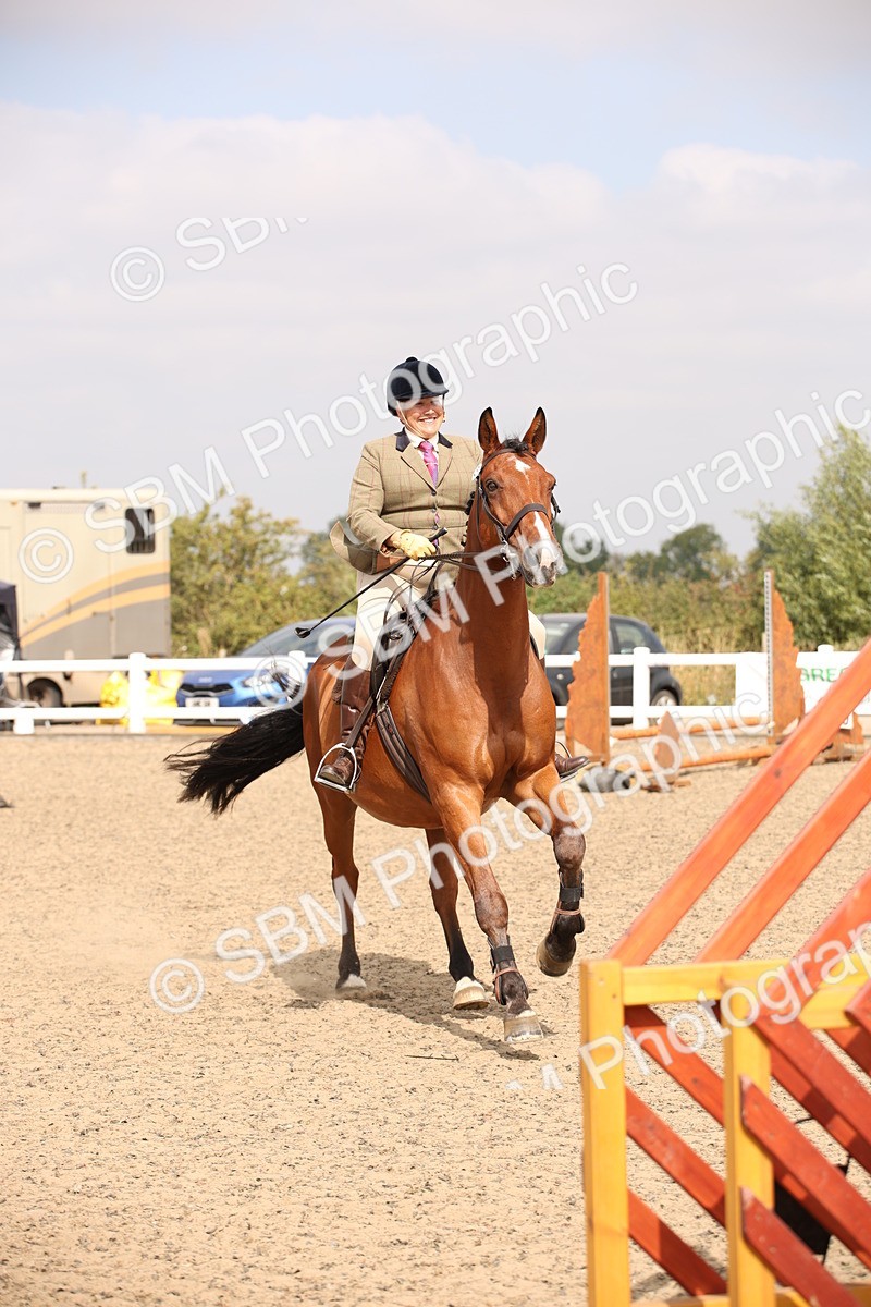 SBM_12890 - Class 406a - Working Veteran 50cm (15-19)