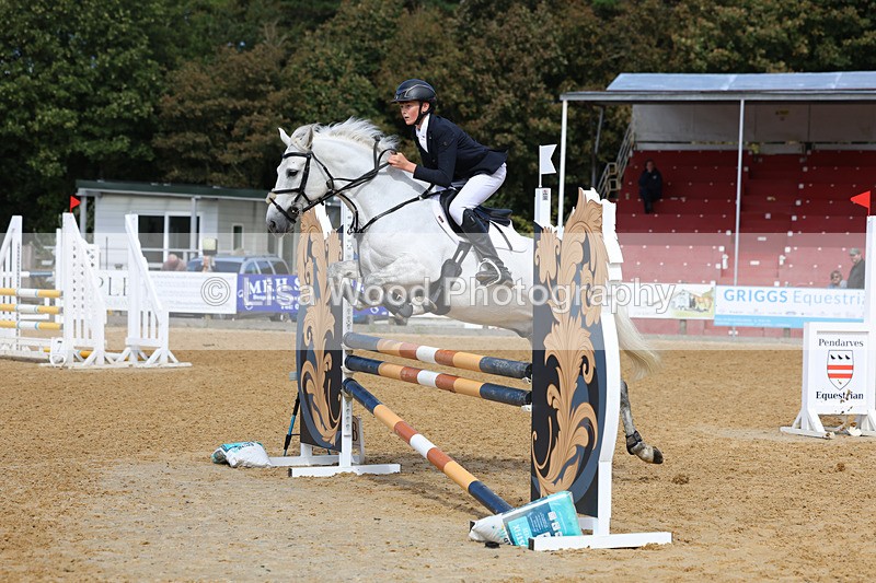 3E7A9198 - Class 9: Senior British Novice/90cm open