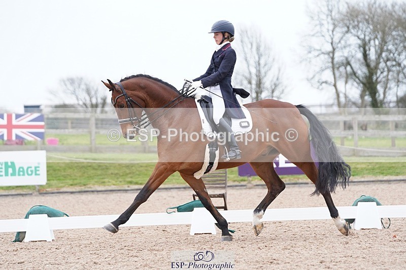 250403-161536-03270 - 028-Elizabeth.Allen-Heraldik