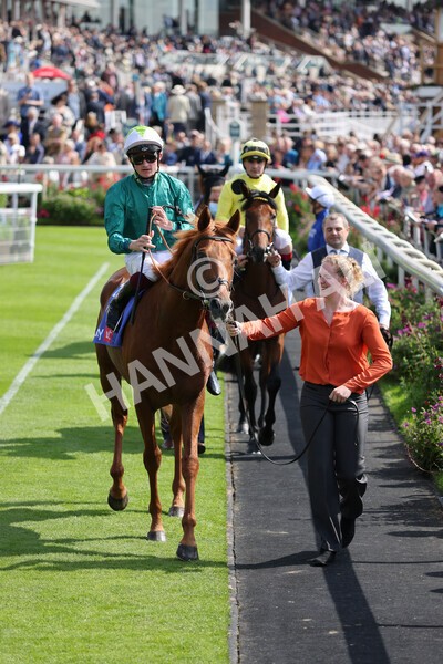 yr18082021r3-23 - Race 3 3.00pm Sky Bet Great Voltigeur Stakes