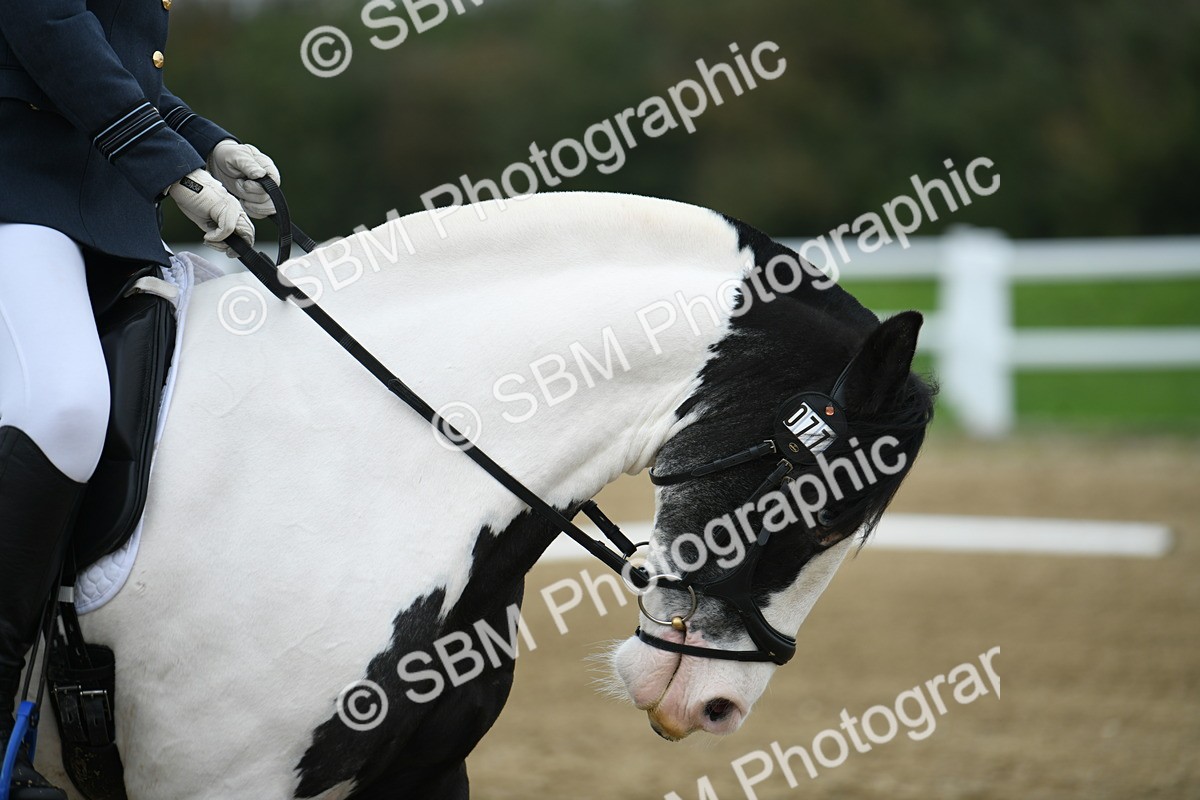 LAD_4189 - Novice Test 2