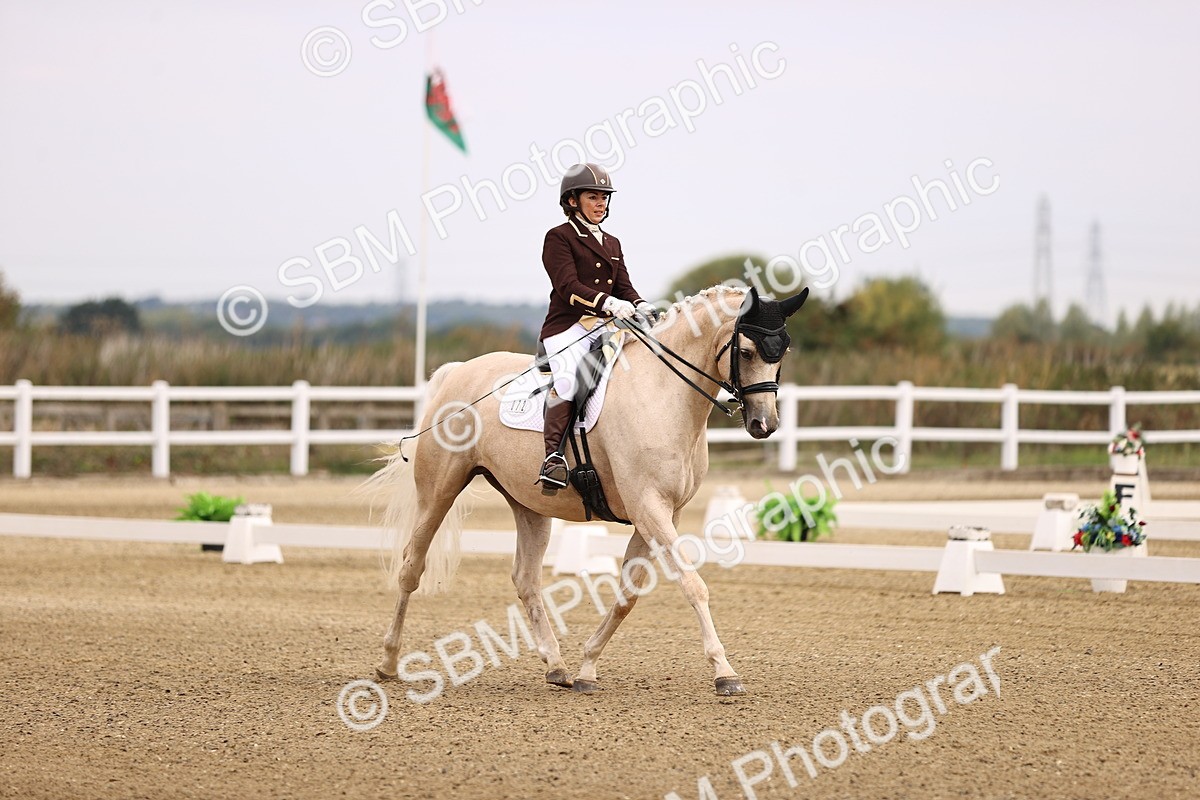 SBM_011502 - Class 1 - Medium 5