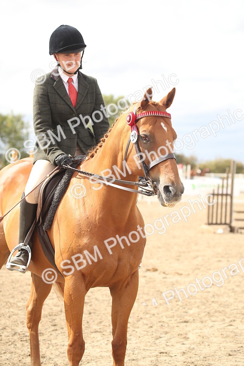 SBM_17838 - Class 508b - Working Veteran 70cm (20+)