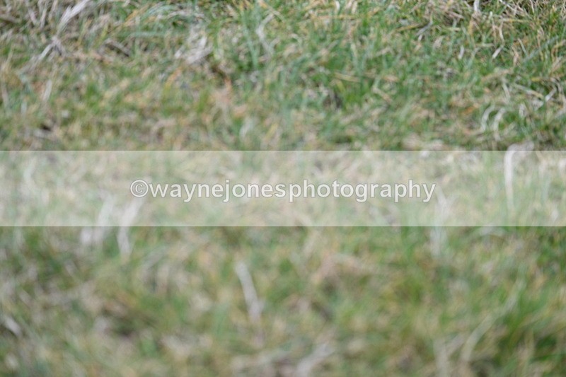 WJ7_4539 - Cam A