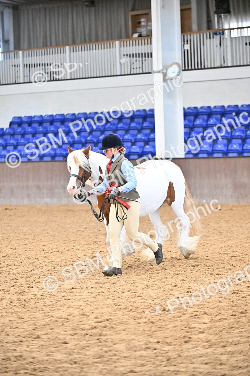 SBM_000786 - Class 16 - In Hand Showing Supreme Championships