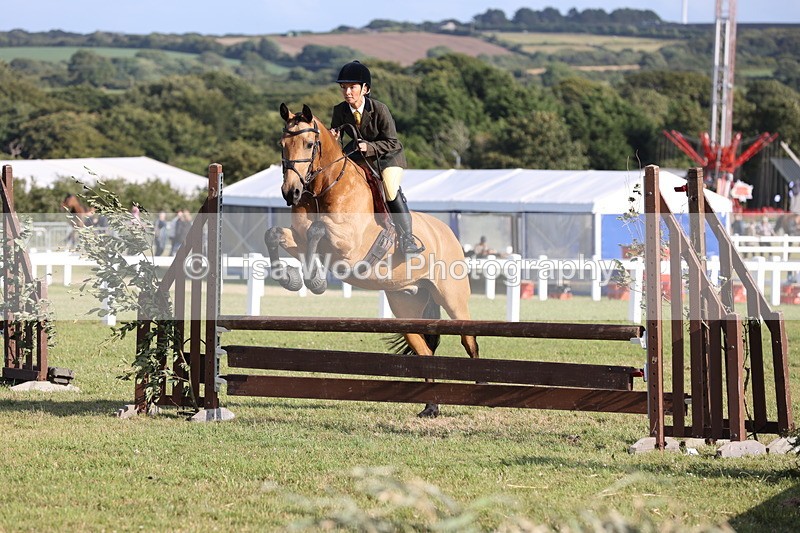 JPP_3201 - Class 21: Working Hunter 80cm