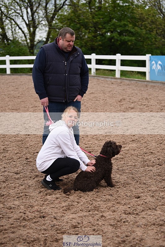 240518A-122218-01129 - Cls 4 Best Crossbred