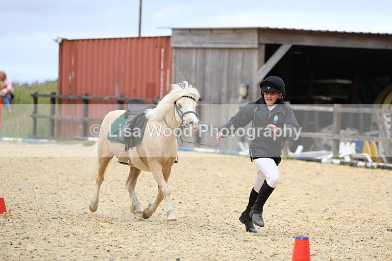 3E7A9419 - Walk trot run