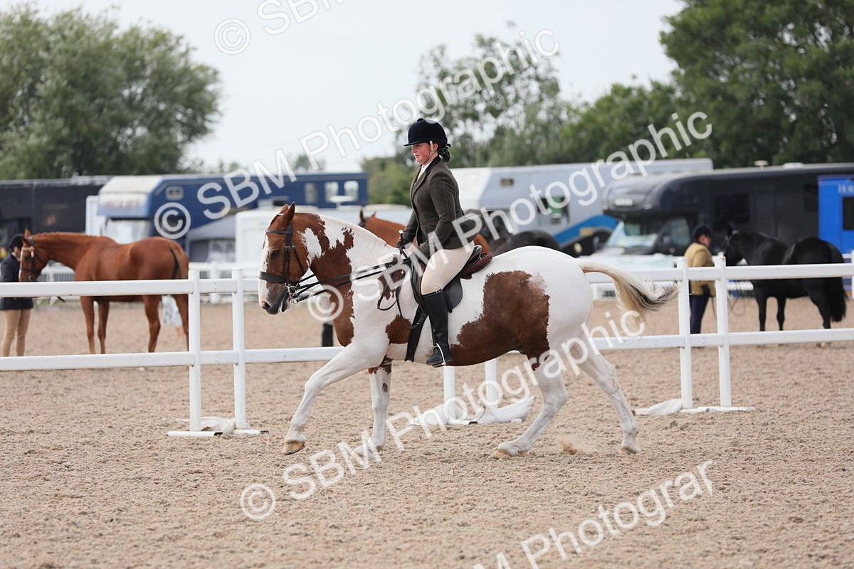 SBM_13398 - Class 308 Ridden Coloured Horse